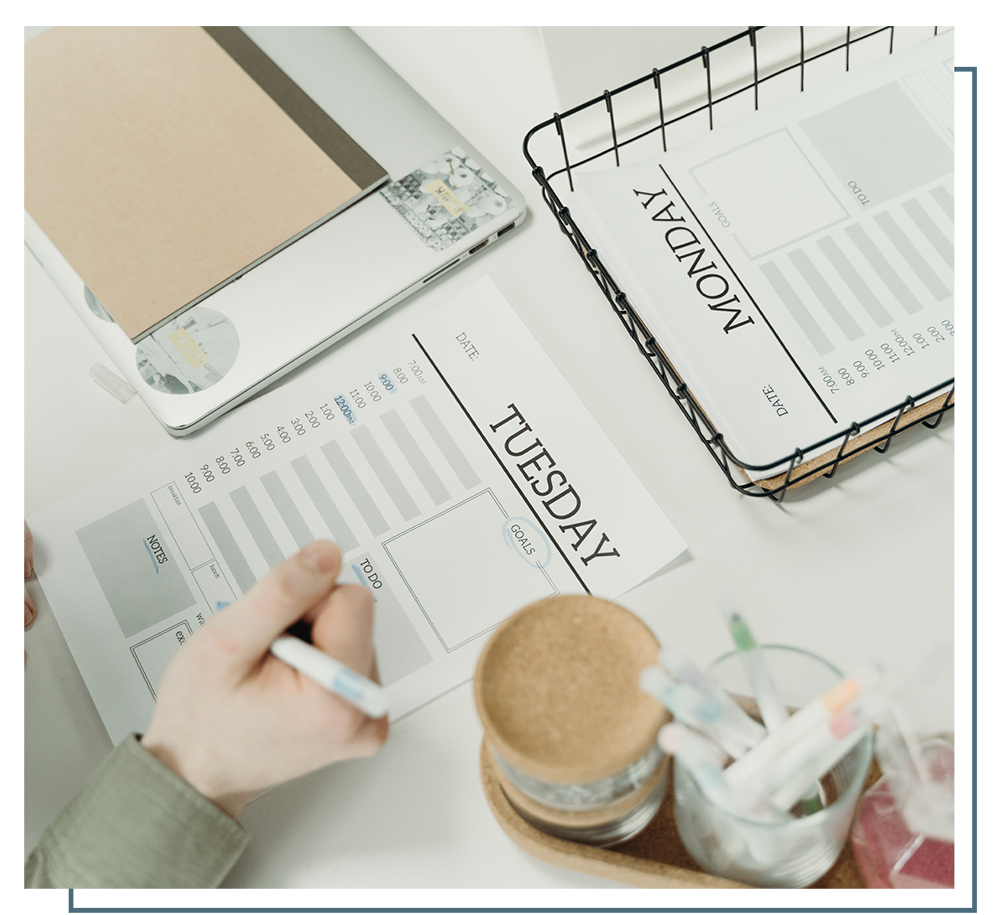 Organisation